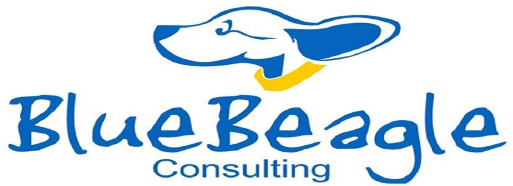 Blue Beagle Consulting